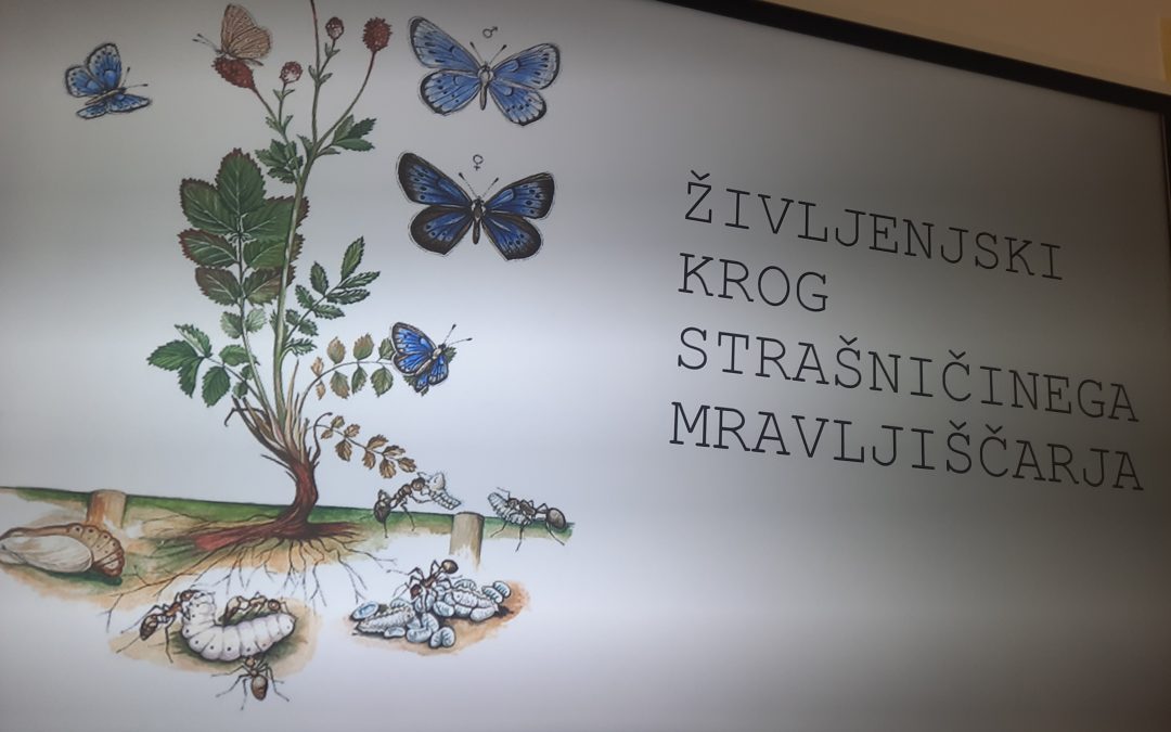 Mladi naravovarstveniki